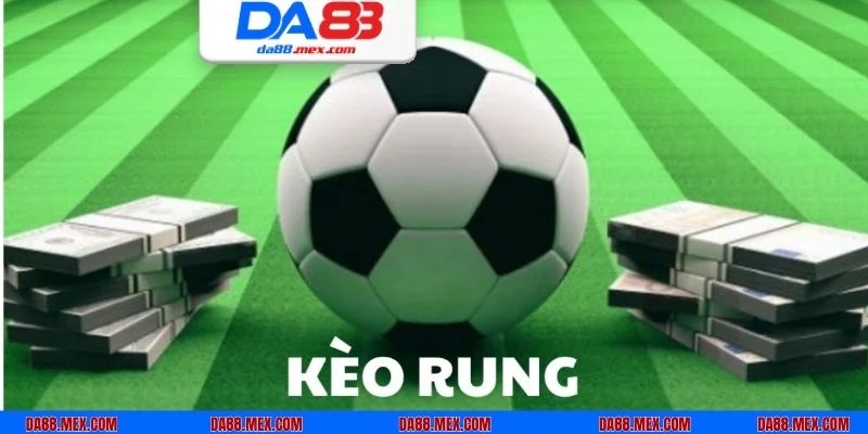 Khám phá 3 mẹo chơi kèo rung cực hay giúp newbie ẵm thưởng